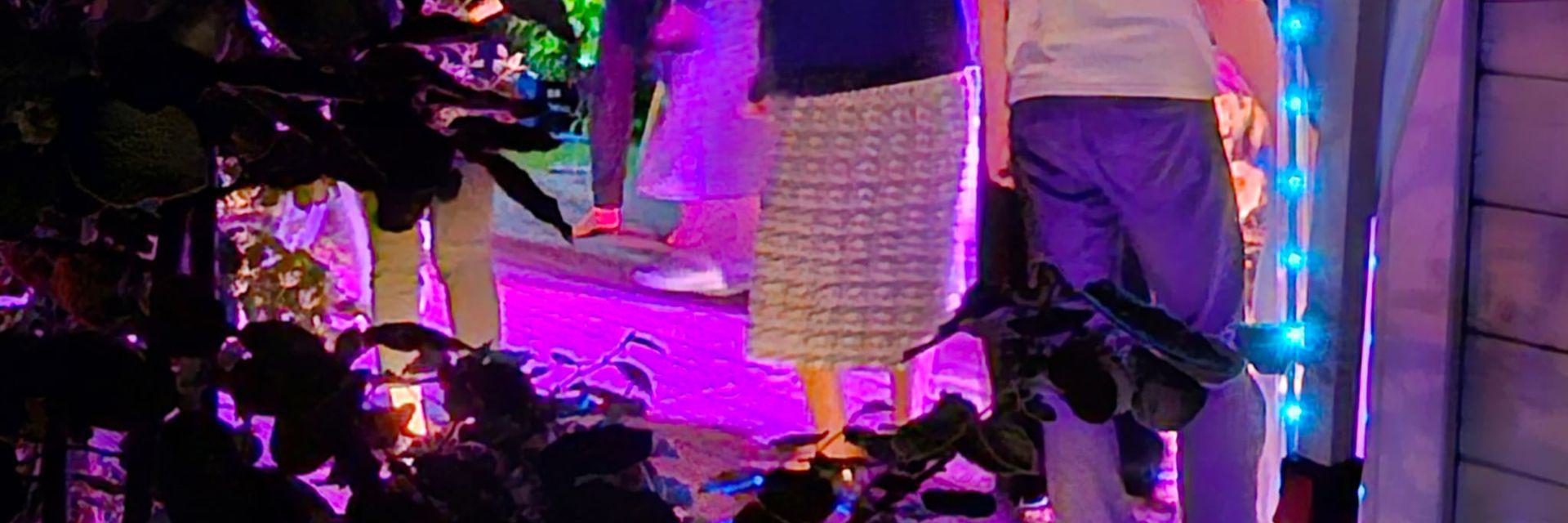 Gäste tanzen bei einer Gartenparty am Abend, farbiges Licht sorgt für lebendige Stimmung und entspannte Atmosphäre